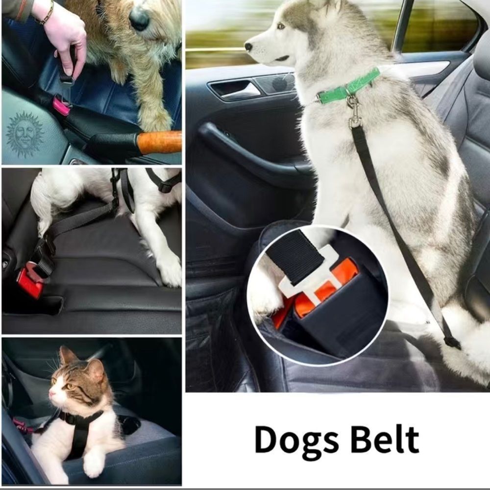 Pet Seat Belt For Dogs Or Cats  Small Medium Large Dogs Safety Belt 1 PC